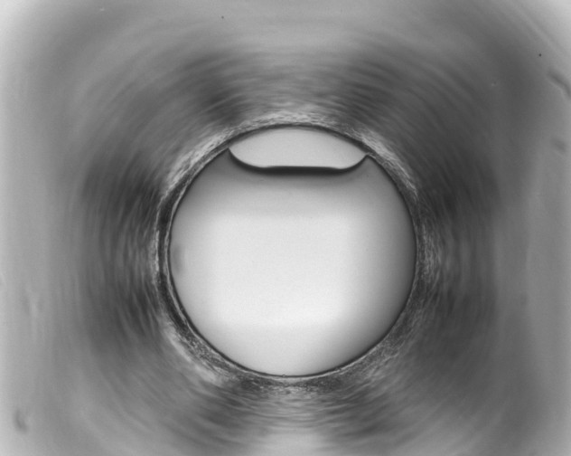 X0000100220486200805300750