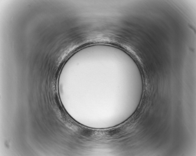 X0000100220487200805300750
