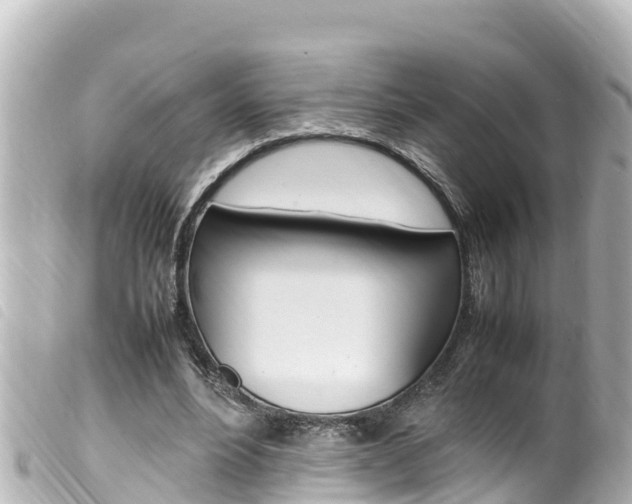 X0000100220488200805300750