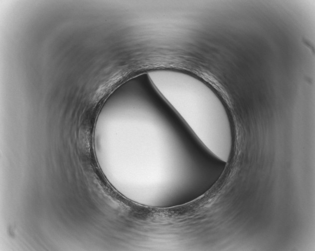 X0000100220489200805300750