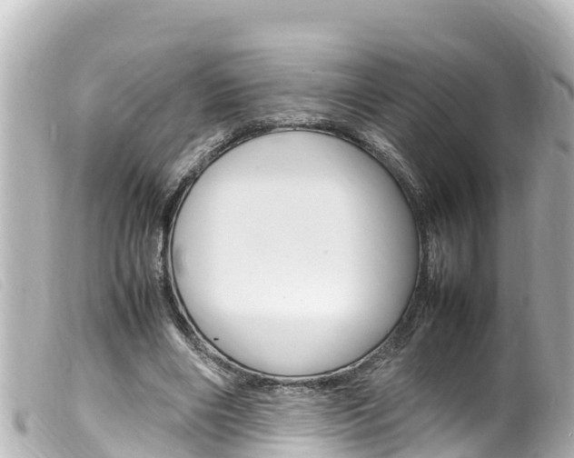 X0000100220490200805300750