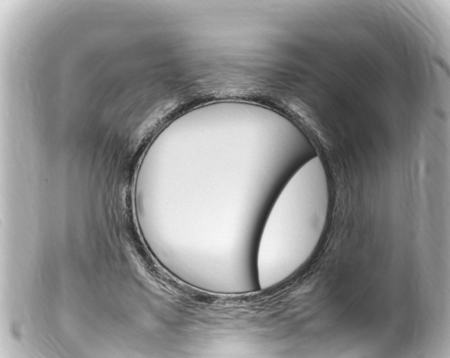 X0000100220491200805300750