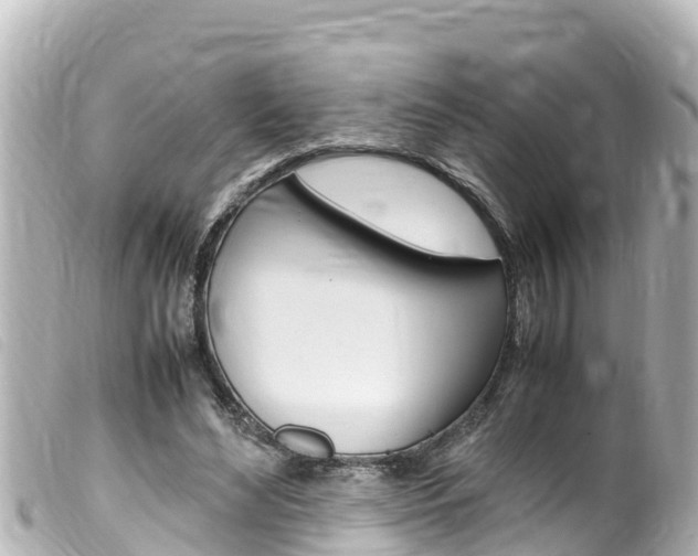 X0000100220492200805300750