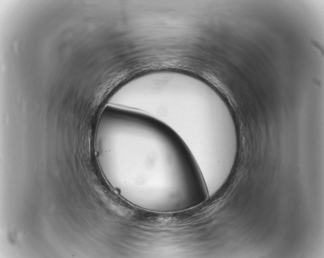 X0000100220493200805300750