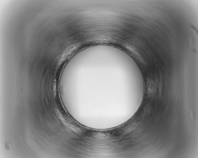 X0000100220494200805300750