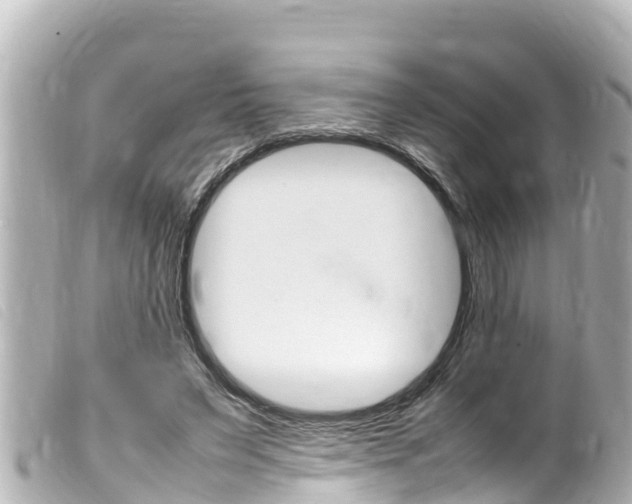 X0000100220495200805300750