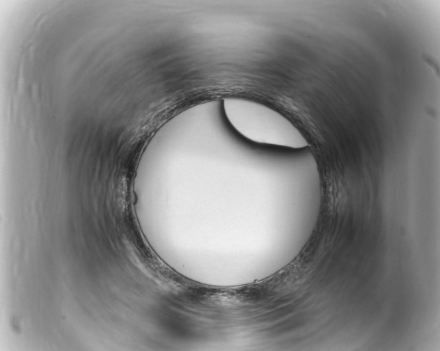 X0000100220498200805300750