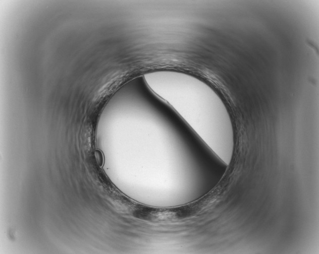 X0000100220501200805300750