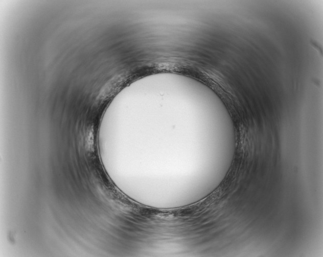 X0000100220502200805300750