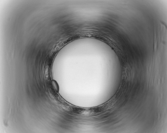 X0000100220504200805300750
