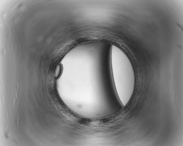 X0000100220505200805300750