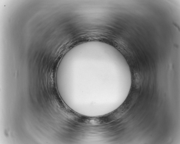 X0000100220506200805300750