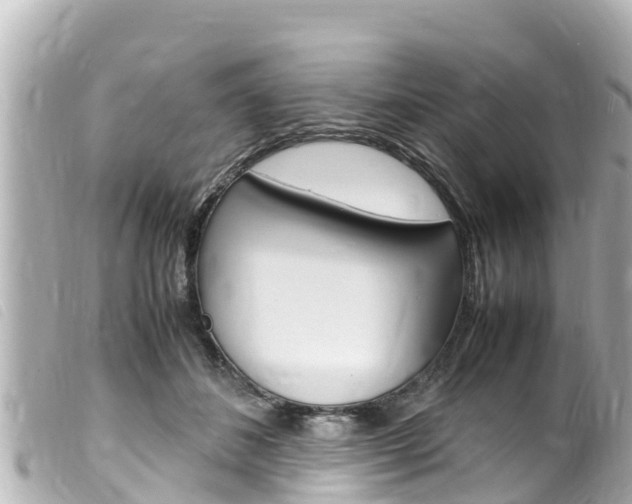 X0000100220508200805300750