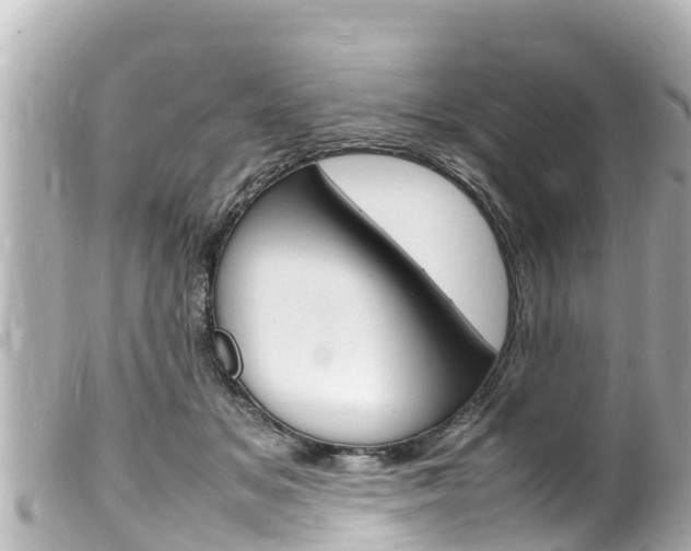 X0000100220509200805300750