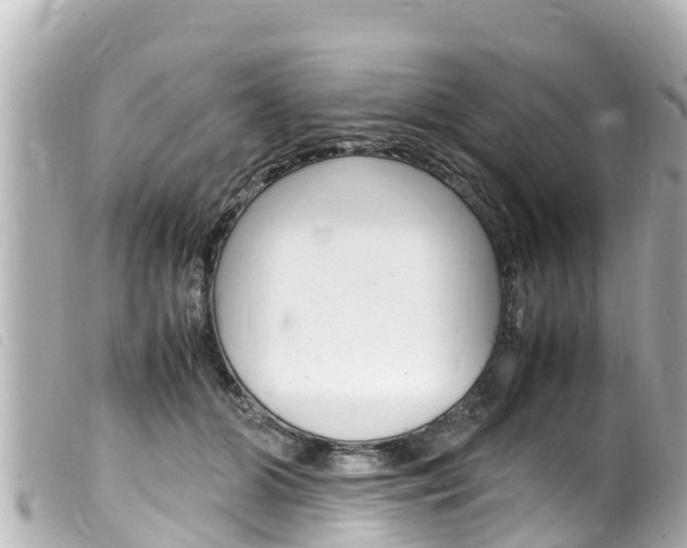 X0000100220510200805300750