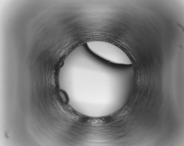 X0000100220512200805300750