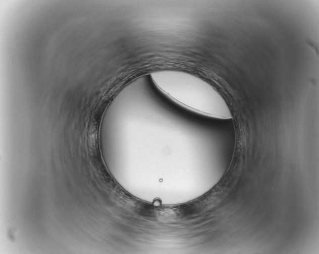 X0000100220513200805300750