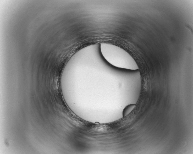 X0000100220514200805300750