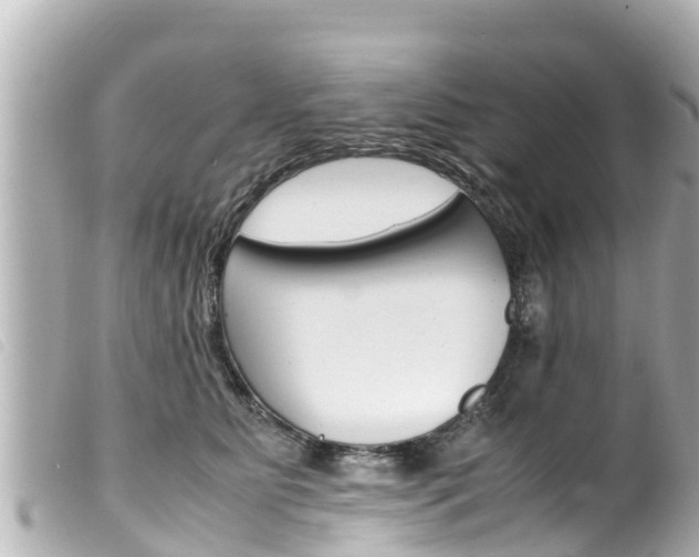 X0000100220515200805300750