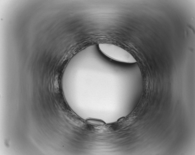 X0000100220516200805300750