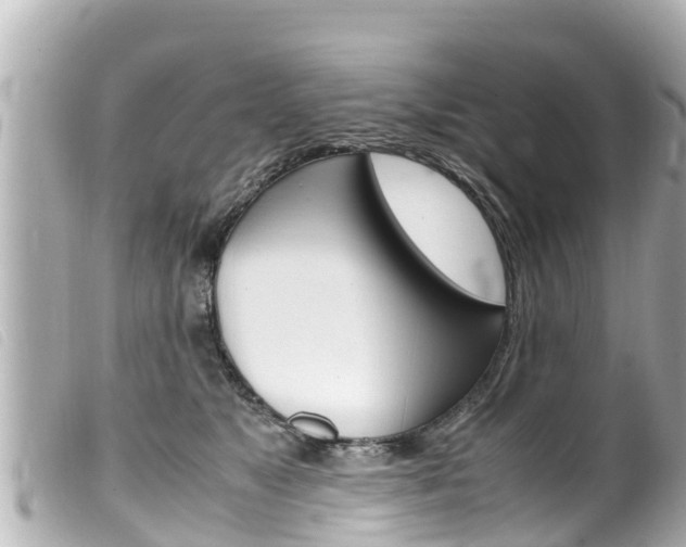 X0000100220517200805300750