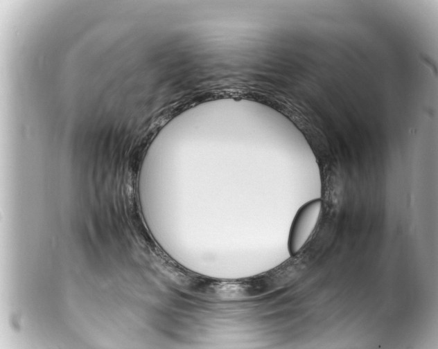 X0000100220518200805300750
