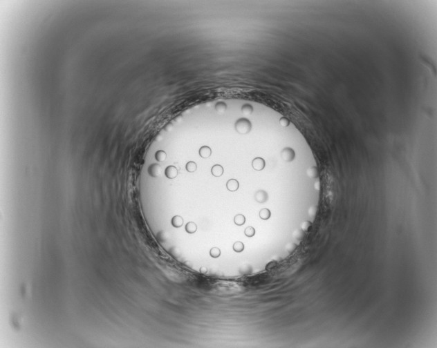 X0000100220519200805300750