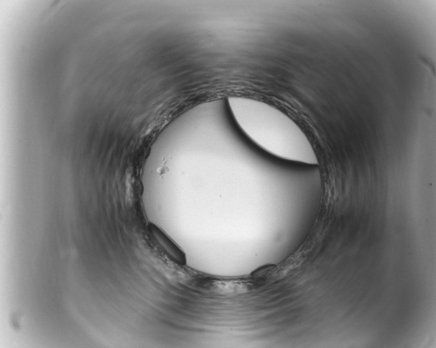 X0000100220520200805300750