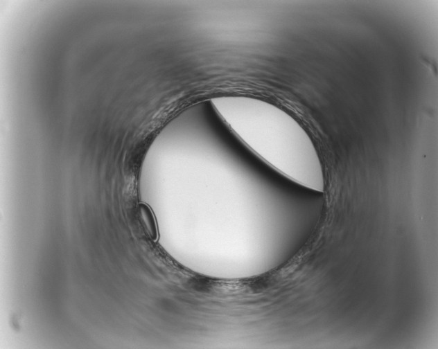 X0000100220521200805300750