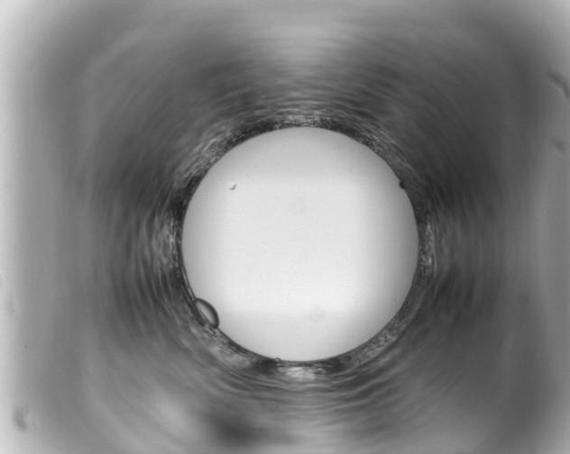X0000100220522200805300750