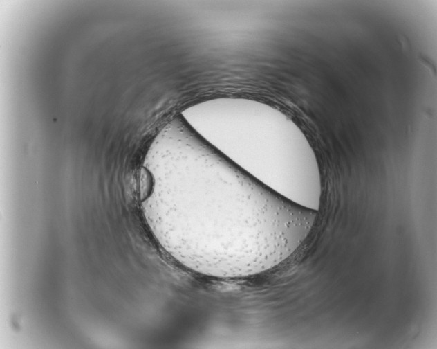 X0000100220523200805300750