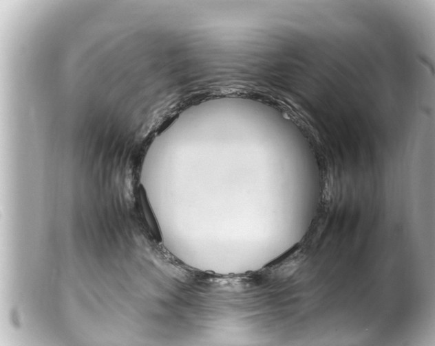X0000100220524200805300750