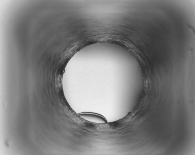 X0000100220525200805300750