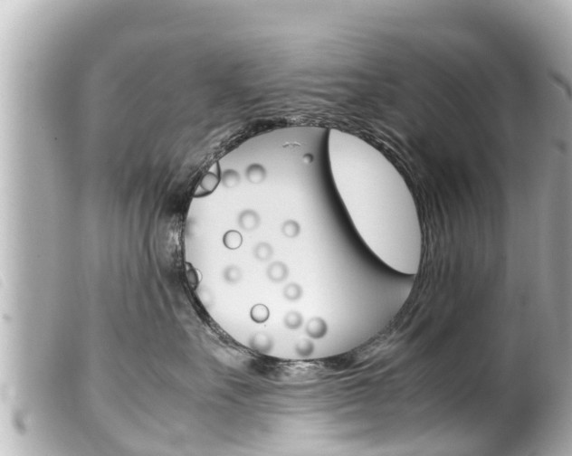 X0000100220527200805300750