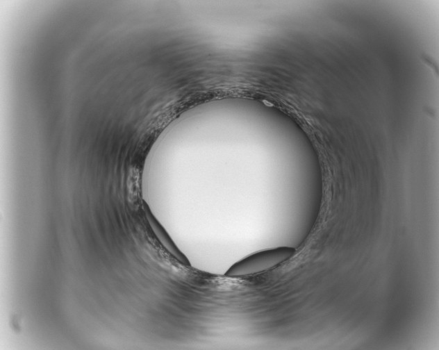 X0000100220528200805300750