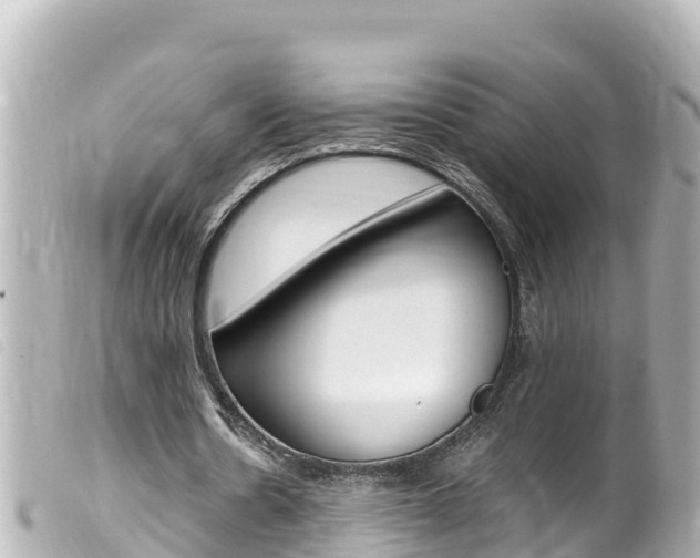 X0000100220530200805300749