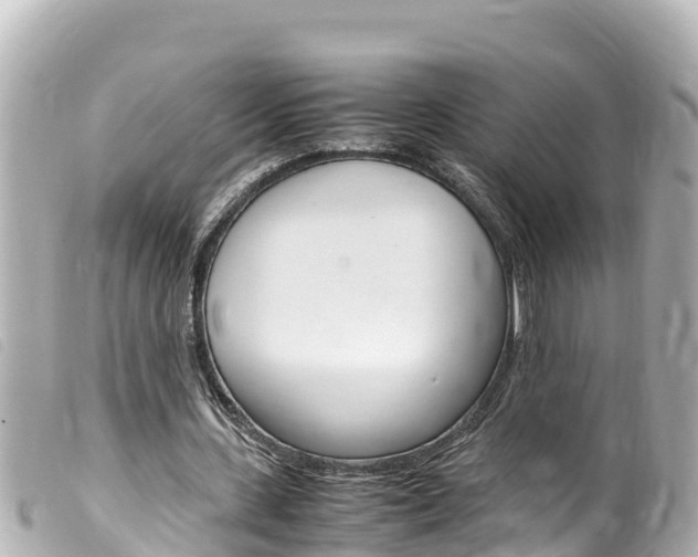 X0000100220531200805300749