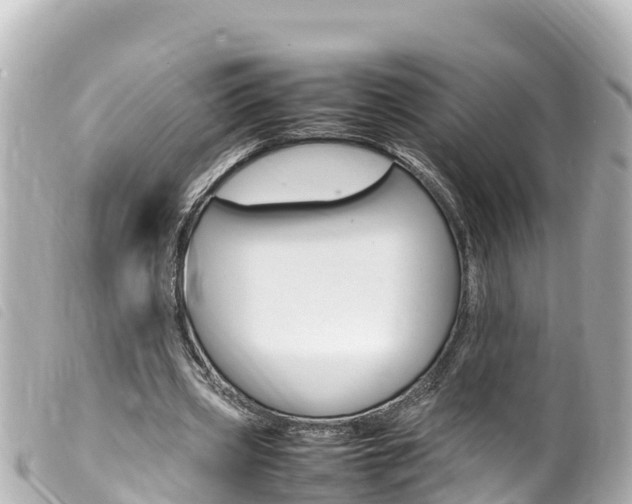 X0000100220533200805300749