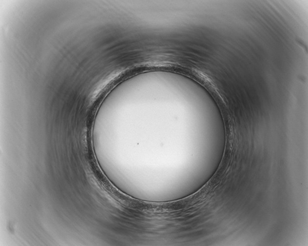 X0000100220535200805300749