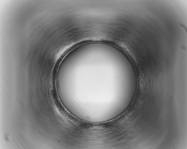X0000100220536200805300749