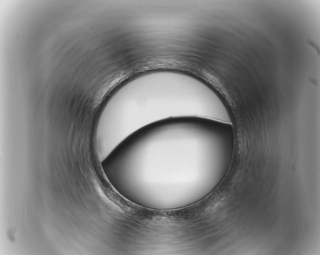 X0000100220538200805300749