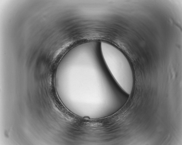 X0000100220539200805300749