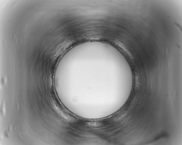 X0000100220541200805300749