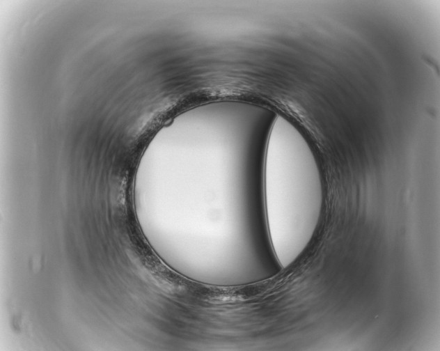 X0000100220543200805300749
