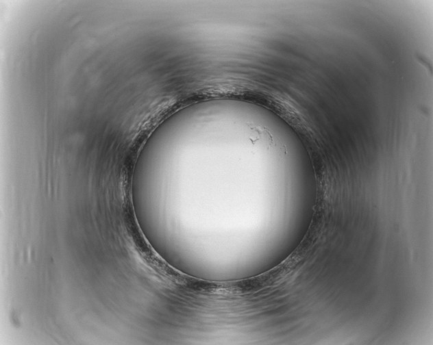X0000100220546200805300749