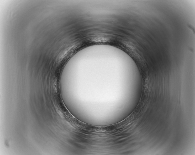 X0000100220547200805300749