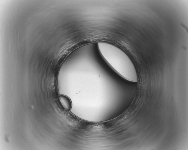 X0000100220548200805300749