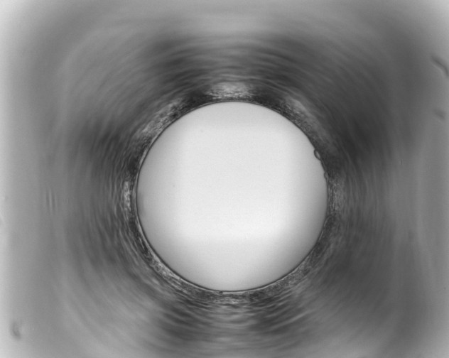 X0000100220549200805300749