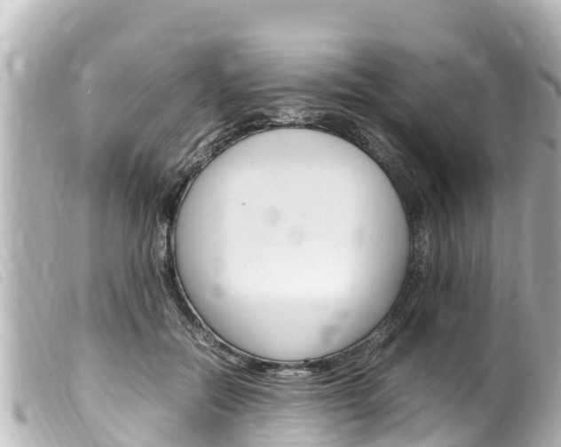 X0000100220554200805300750