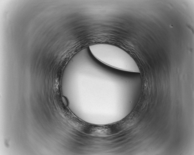 X0000100220555200805300750